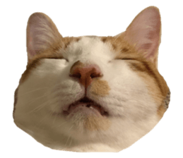 149113469