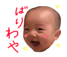 149113481