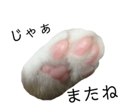 149132834