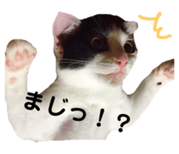 149132836