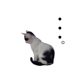149132842