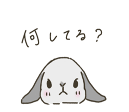 149576112