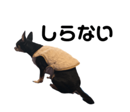149955450