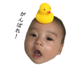 150080880