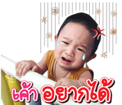 150101504