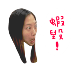 150202541