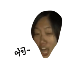 150202547