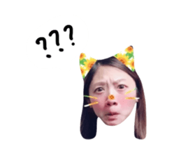 150202553
