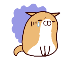 15024995