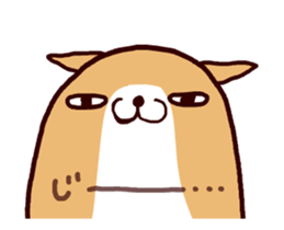 15024996