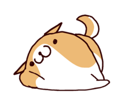 15024998