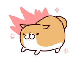 15025004