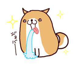 15025005