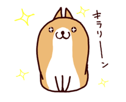 15025006