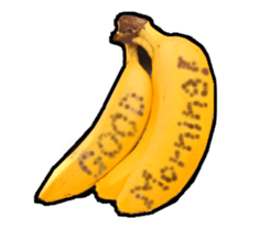 15025500