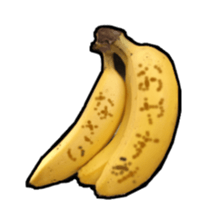 15025501