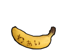 15025505