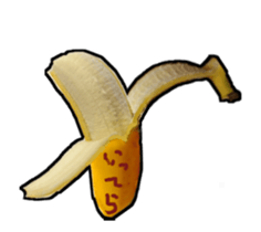 15025507