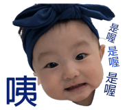 150261648