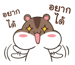 15027135