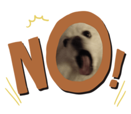 150303124