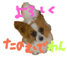 150314257