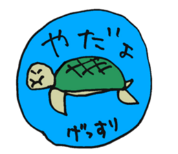 150523551