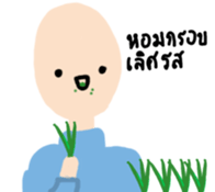 15053581