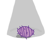 15053601