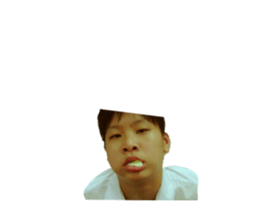 150593313