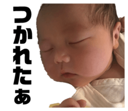 150624876