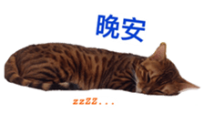 15067325