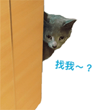 15067326