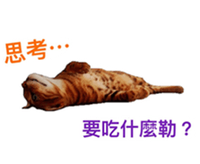 15067328