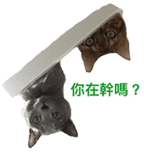 15067336