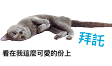 15067338