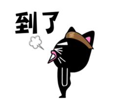 15070753