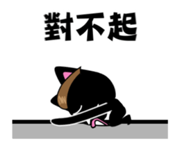 15070755