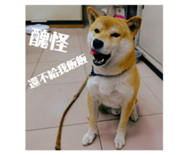 150708881