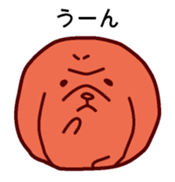 1507176