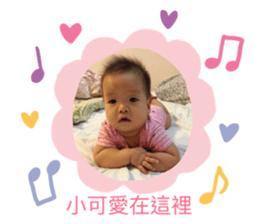 150762306