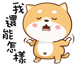 150807500