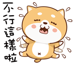 150807501