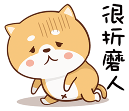 150807506