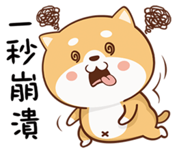 150807509