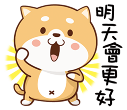 150807513