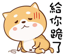 150807514