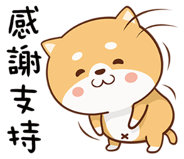 150807523