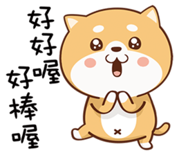 150807524