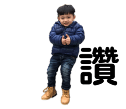 150833329